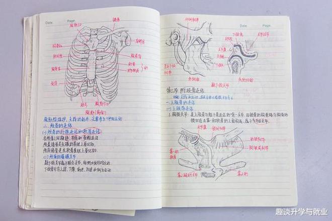 学霸常用的3种高效研习本领学渣无法体验OB视讯值得中等考生鉴戒(图3)